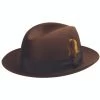 Biltmore's Chicago Center Crease Fedora In Brown