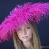 Fantastic Feather Fascinator